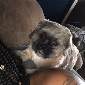 Meet your Posher, Charmeka